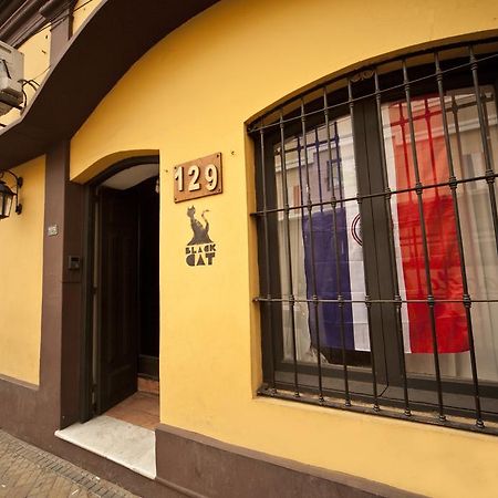 Black Cat Hostel Asuncion Exteriör bild