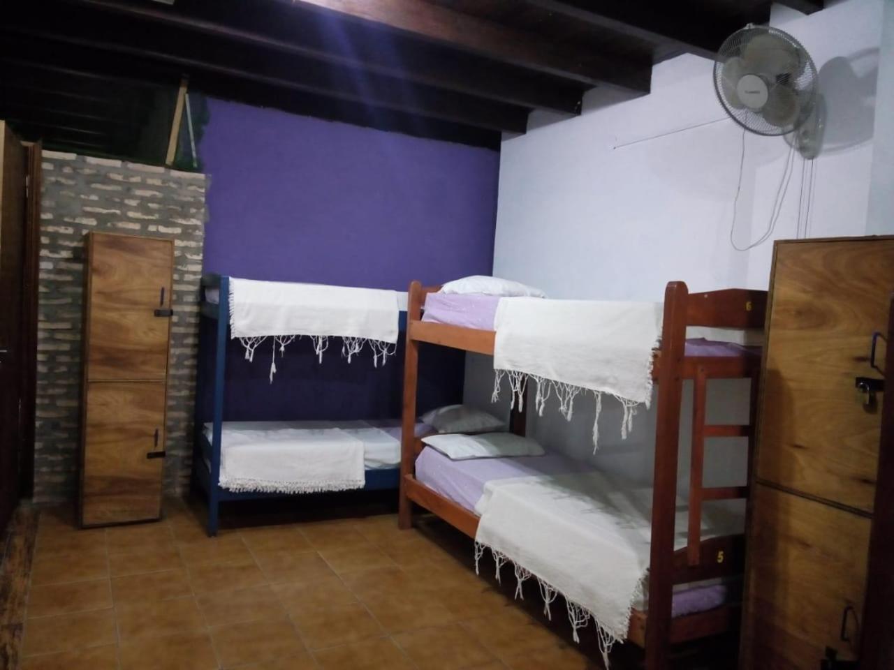 Black Cat Hostel Asuncion Exteriör bild